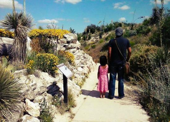 Living Desert Zoo and Gardens State Park